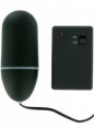 Remote Control Vibrating Egg Black 